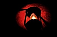 Lomo Lantern
