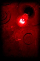 Red Light 1