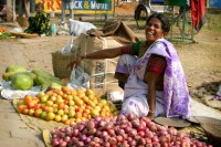 Fruit Vendor